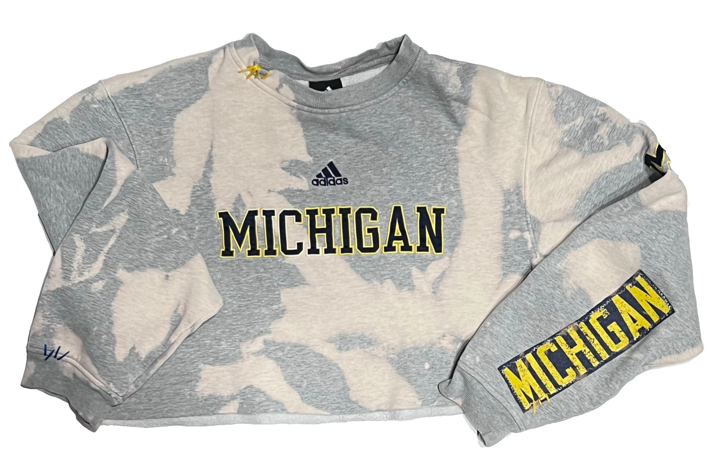 University of Michigan Sweatshirt